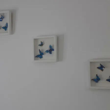 Canary House בית נופש *