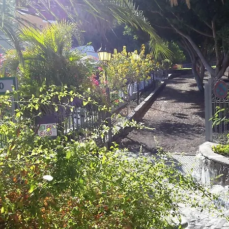 Canary House * אינחניו